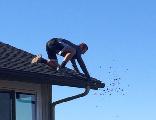 Get Your Gutters Cleaned Now Or Regret It Later, Here’s Why